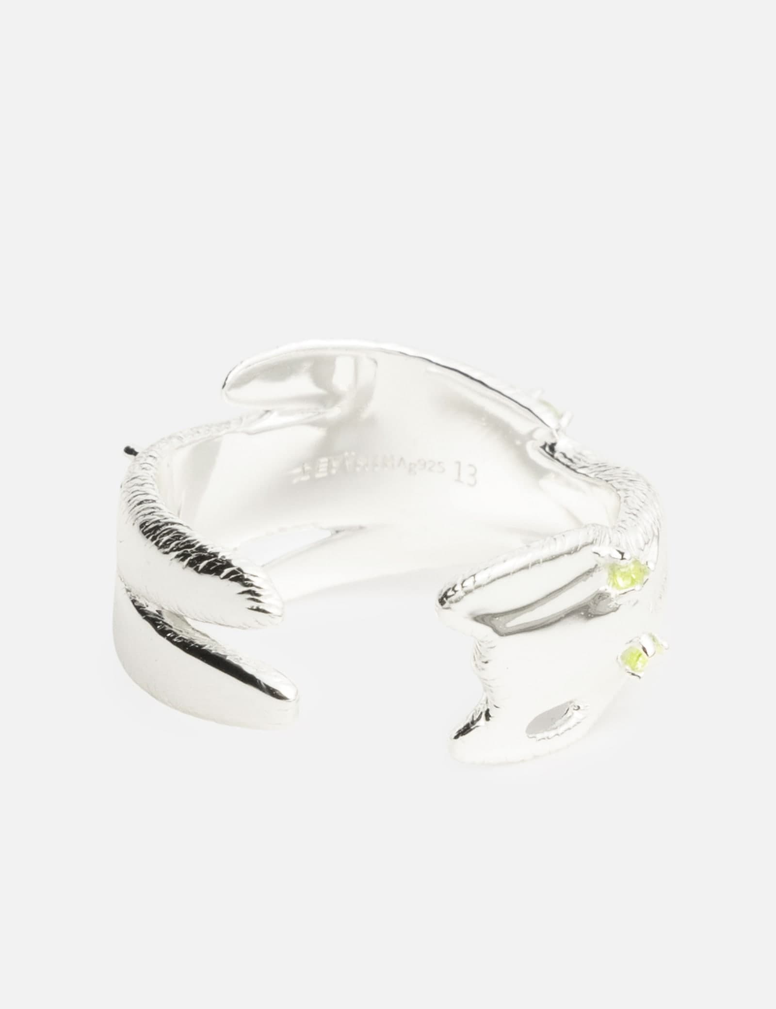 Transformed Bear Ring