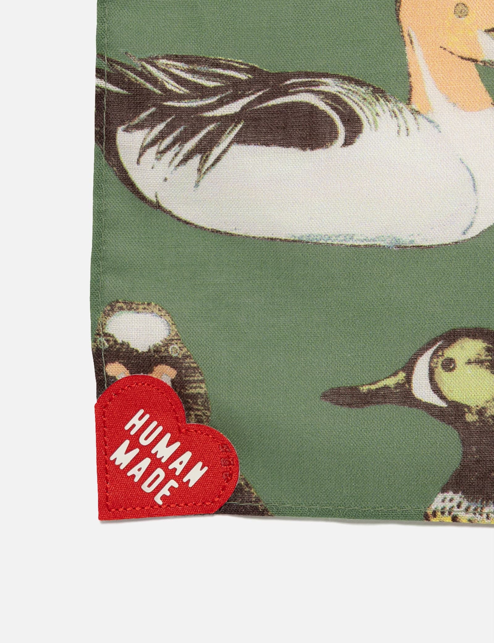Big Bandana view 2