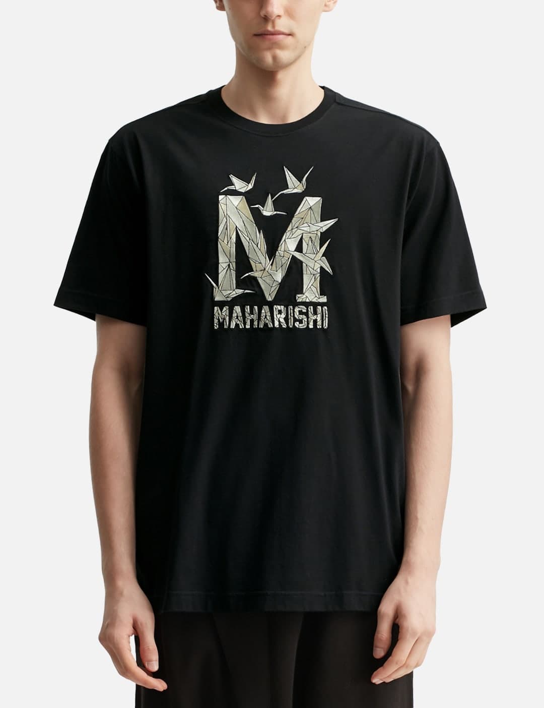 Maharishi view 6