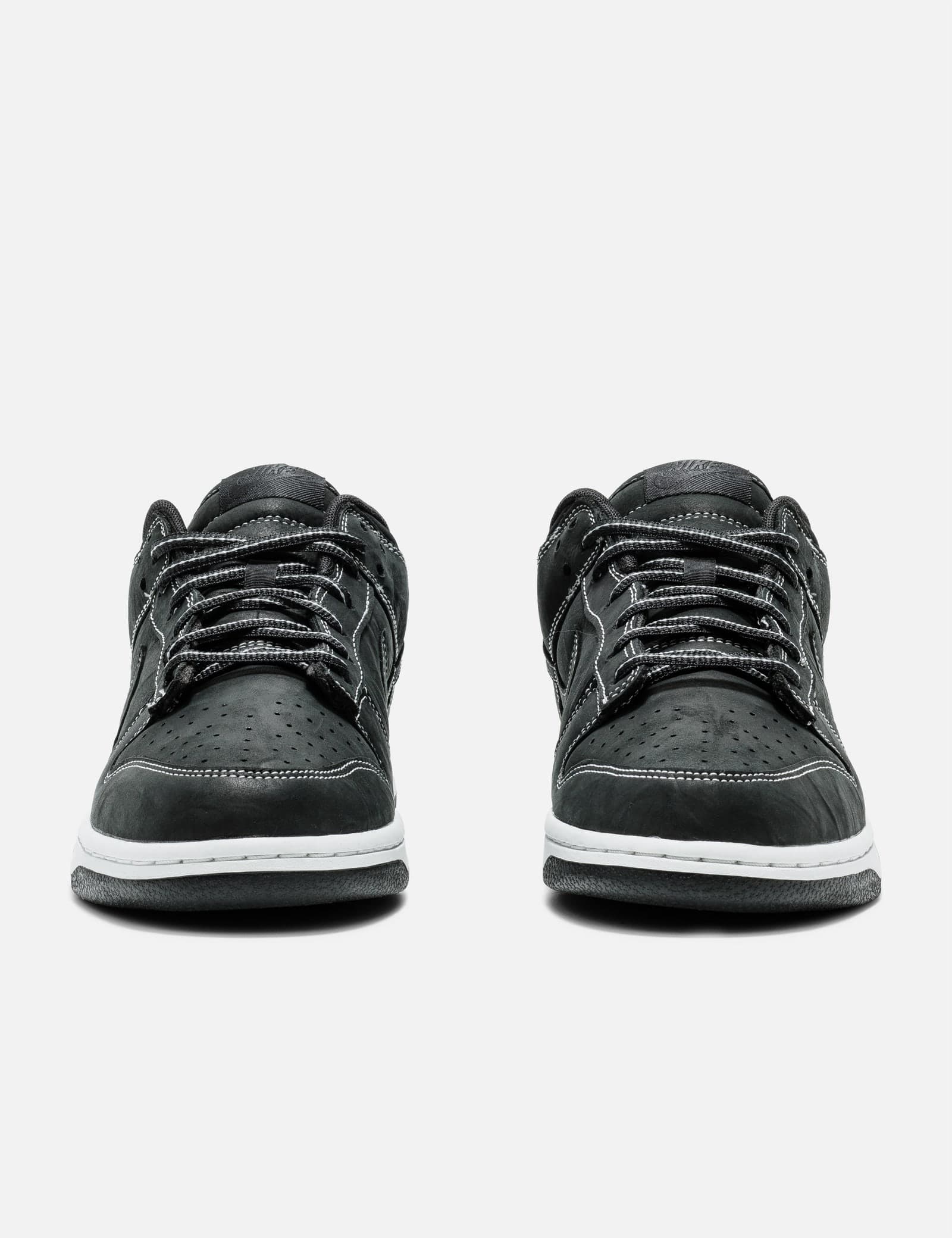 Dunk Low view 2