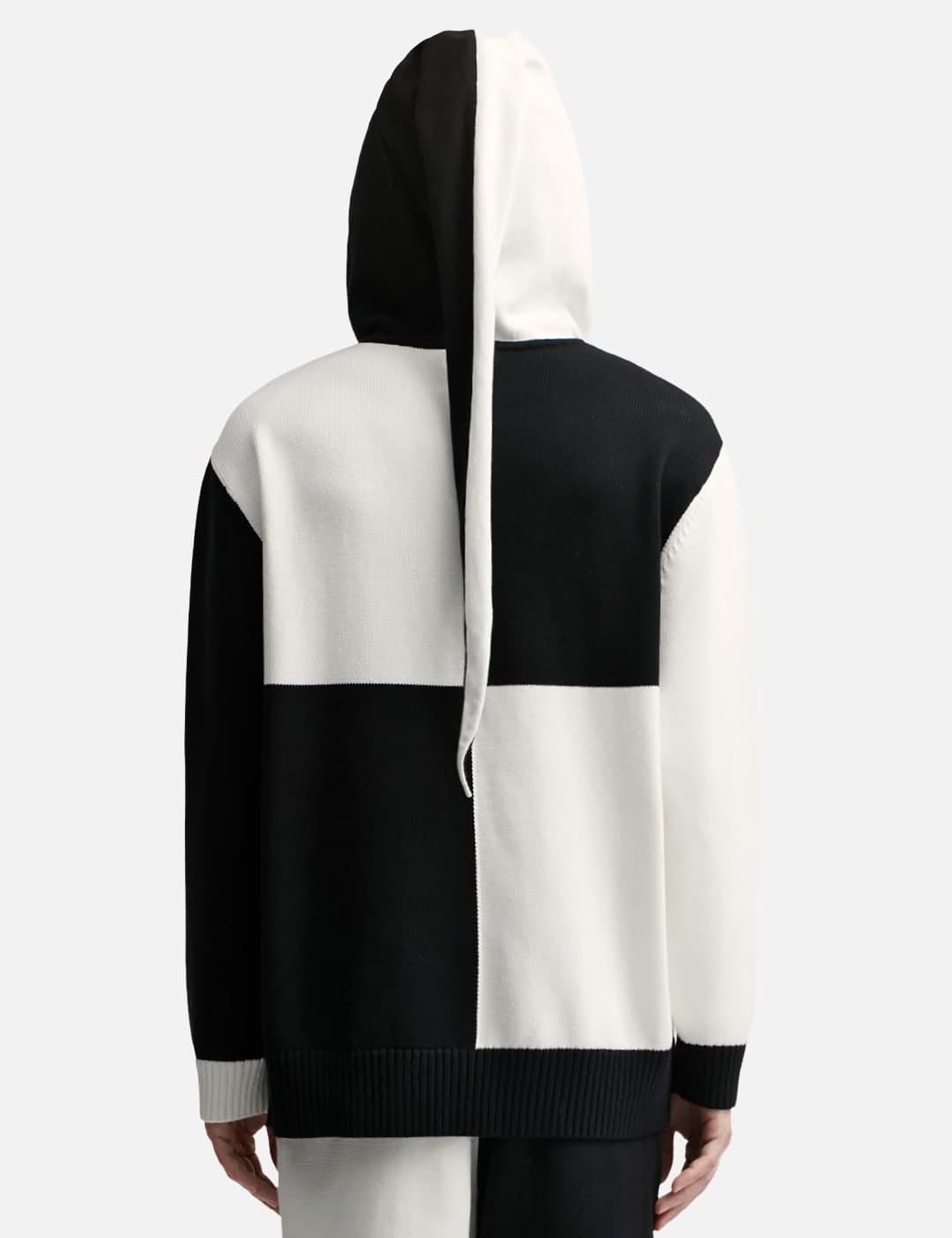 Heraldry Hoodie view 4