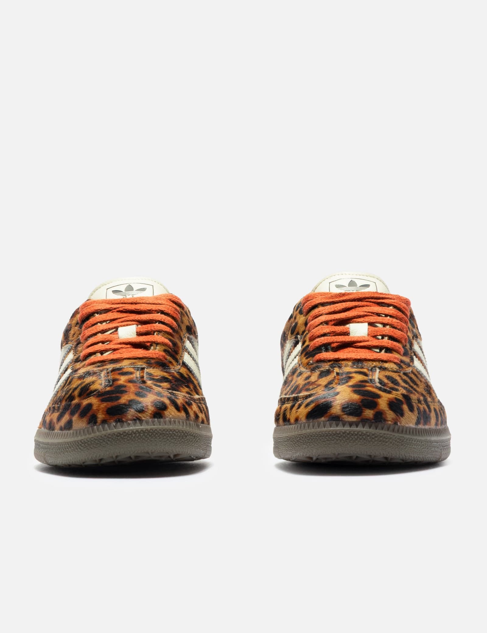 Samba OG view 2