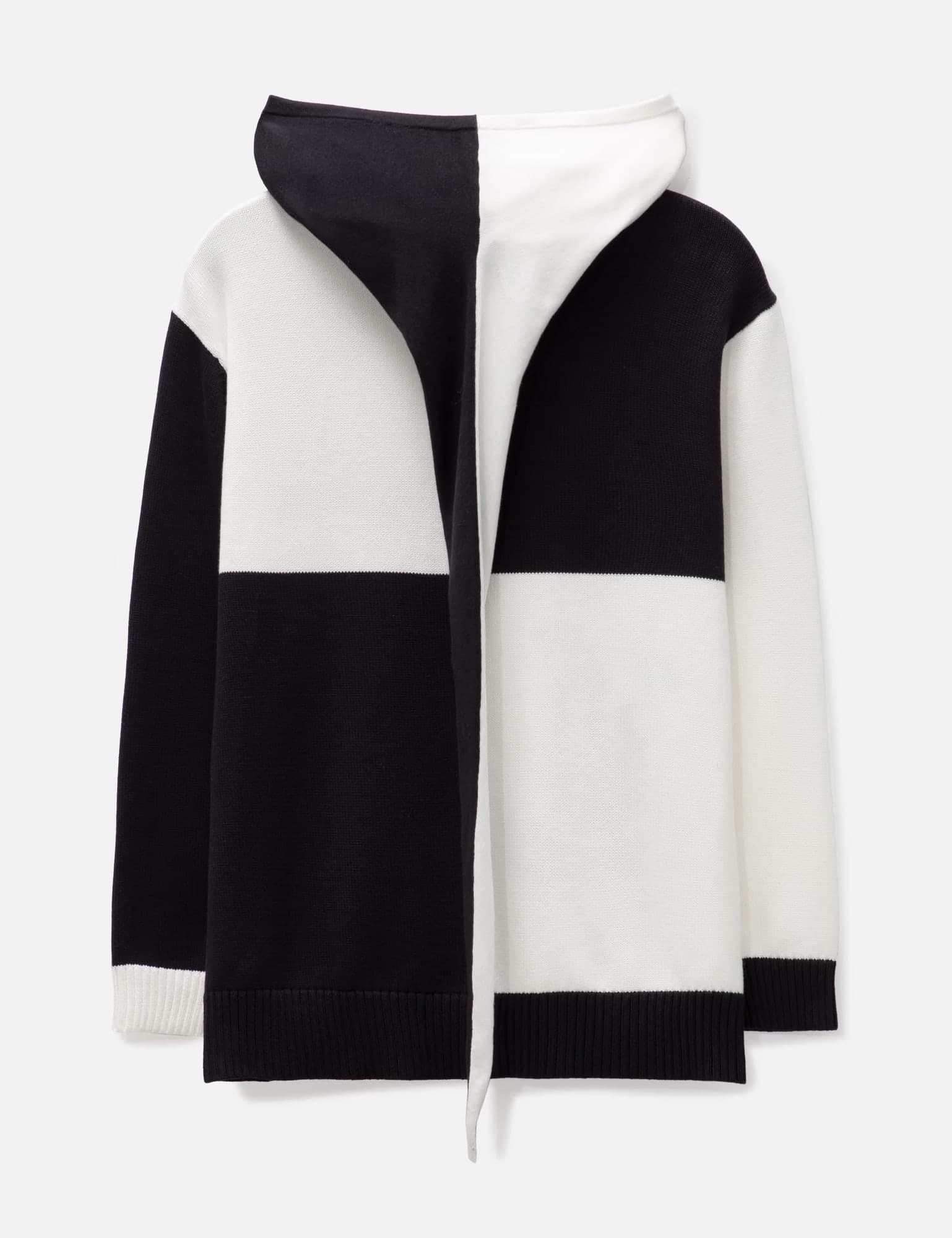 Heraldry Hoodie view 2